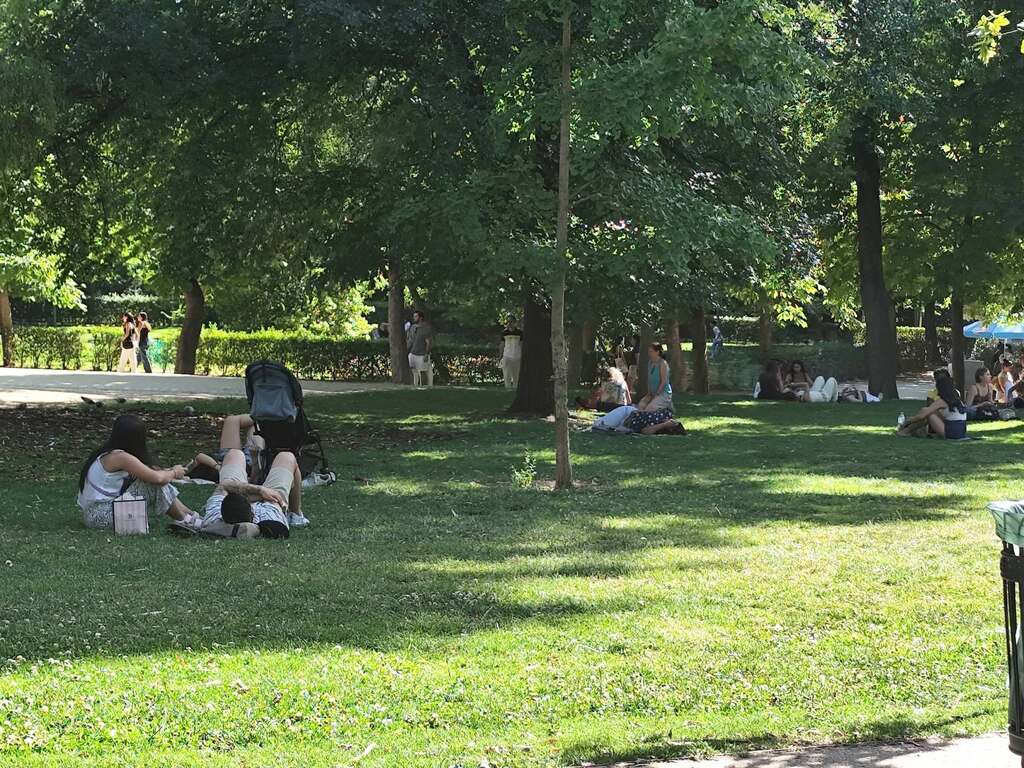 Predsjednica Udruge Feniks Split izabrana u prvo Savjetodavno vijeće za proživljeno iskustvo Mental Health Europe (17) Predsjednica Udruge Feniks Split izabrana u prvo Savjetodavno vijeće za proživljeno iskustvo Mental Health Europe